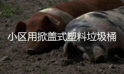 小区盖式桶塑料用掀垃圾