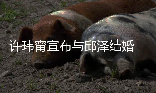 许玮心如 幸甯宣结婚布与福福快送祝开心远 林乐永邱泽